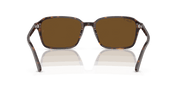 B-15 Brown Lenses, Polished Havana Frame