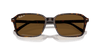 [B-15 Brown Lenses, Polished Havana Frame]