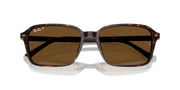 B-15 Brown Lenses, Polished Havana Frame