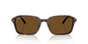 [B-15 Brown Lenses, Polished Havana Frame]