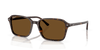 [B-15 Brown Lenses, Polished Havana Frame]