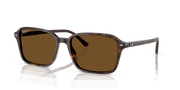 B-15 Brown Lenses, Polished Havana Frame