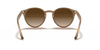 [Brown Gradient Lenses, Polished Light Brown Frame]