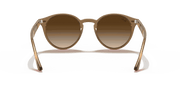 Brown Gradient Lenses, Polished Light Brown Frame