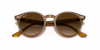 [Brown Gradient Lenses, Polished Light Brown Frame]