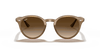 [Brown Gradient Lenses, Polished Light Brown Frame]