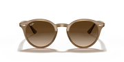 Brown Gradient Lenses, Polished Light Brown Frame