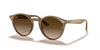 [Brown Gradient Lenses, Polished Light Brown Frame]