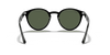 [Dark Green Lenses, Polished Black Frame]