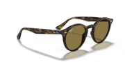 B-15 Brown Lenses, Polished Light Havana Frame