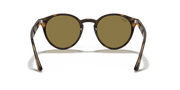 B-15 Brown Lenses, Polished Light Havana Frame