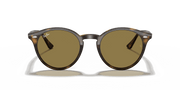 B-15 Brown Lenses, Polished Light Havana Frame