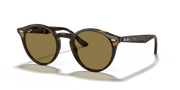 B-15 Brown Lenses, Polished Light Havana Frame