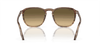 [Brown Vintage Lenses, Polished Striped Brown & Green Frame]