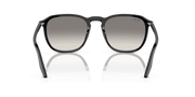 Clear/Grey Lenses, Polished Black Frame