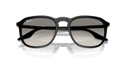 Clear/Grey Lenses, Polished Black Frame