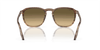 [Brown Black Lenses, Polished Striped Brown & Green Frame]