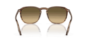 Brown Black Lenses, Polished Striped Brown & Green Frame