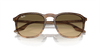 [Brown Black Lenses, Polished Striped Brown & Green Frame]