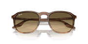 Brown Black Lenses, Polished Striped Brown & Green Frame