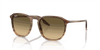 [Brown Black Lenses, Polished Striped Brown & Green Frame]