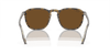 [B-15 Brown Lenses, Polished Havana Frame]