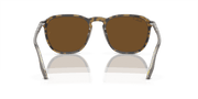 B-15 Brown Lenses, Polished Havana Frame