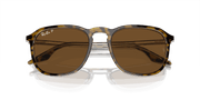 B-15 Brown Lenses, Polished Havana Frame