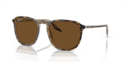 B-15 Brown Lenses, Polished Havana Frame