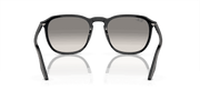 Light Grey Lenses, Polished Black Frame