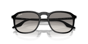 Light Grey Lenses, Polished Black Frame