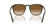 Light Brown Lenses, Polished Havana Frame