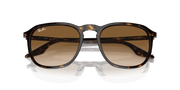 Light Brown Lenses, Polished Havana Frame