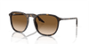 [Light Brown Lenses, Polished Havana Frame]