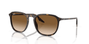 Light Brown Lenses, Polished Havana Frame