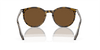 [Brown Lenses, Polished Havana On Transparent Frame]