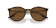 Brown Lenses, Polished Havana On Transparent Frame