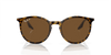 [Brown Lenses, Polished Havana On Transparent Frame]