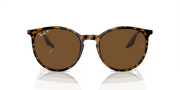 Brown Lenses, Polished Havana On Transparent Frame