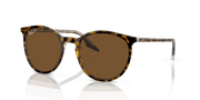 Brown Lenses, Polished Havana On Transparent Frame