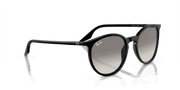 Light Grey Lenses, Polished Black Frame