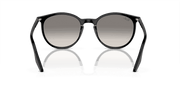 Light Grey Lenses, Polished Black Frame