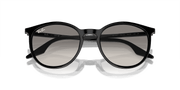 Light Grey Lenses, Polished Black Frame