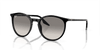 [Light Grey Lenses, Polished Black Frame]