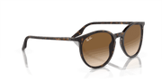 Light Brown Lenses, Polished Havana Frame