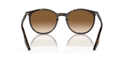 Light Brown Lenses, Polished Havana Frame