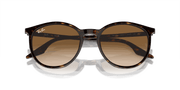 Light Brown Lenses, Polished Havana Frame