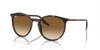 [Light Brown Lenses, Polished Havana Frame]