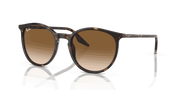 Light Brown Lenses, Polished Havana Frame