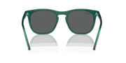 Dark Grey Lenses, Polished Transparent Green Frame